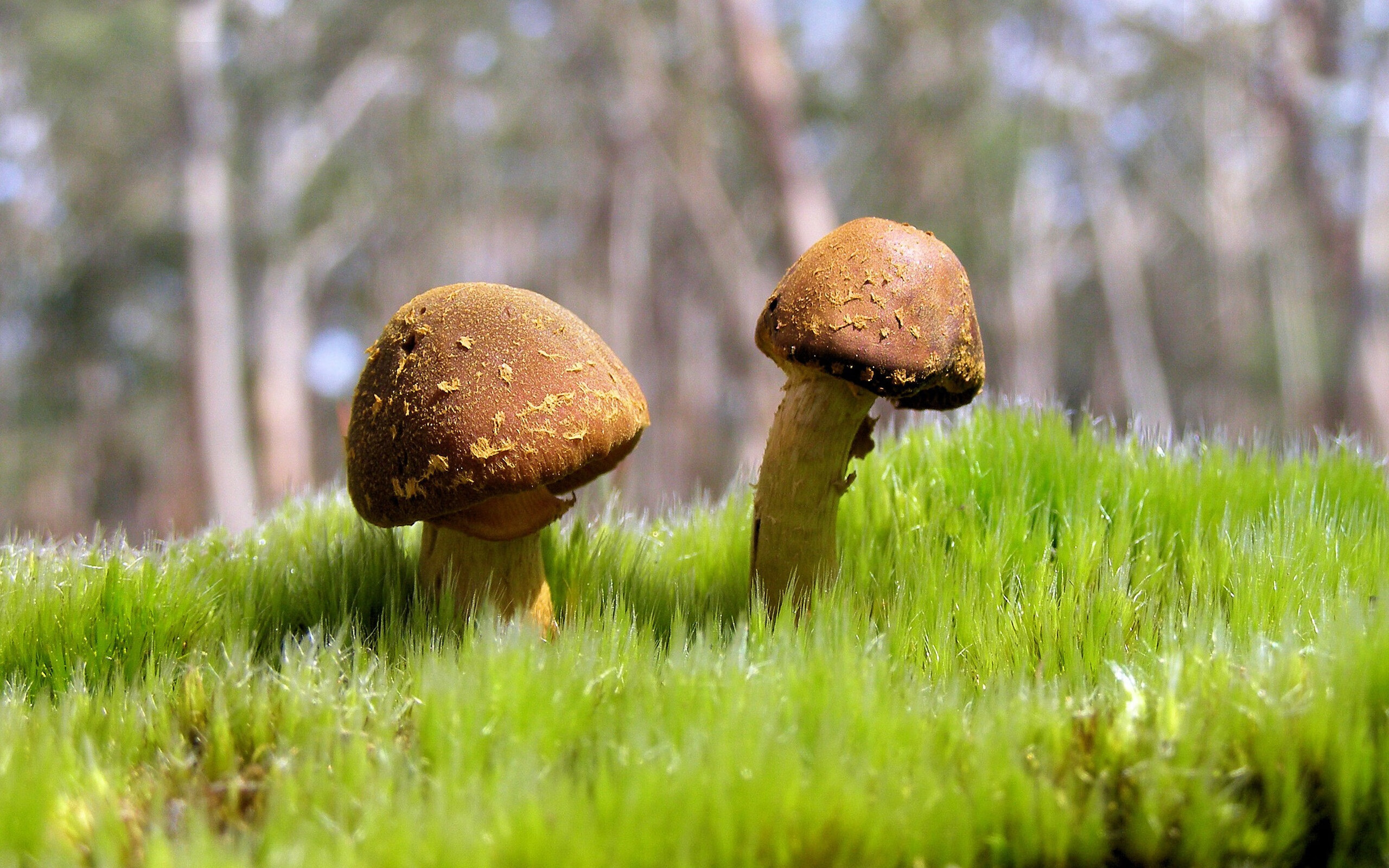 全国青少年“创新运动”智造大赛在成都盛大启动，推动运动科技创新