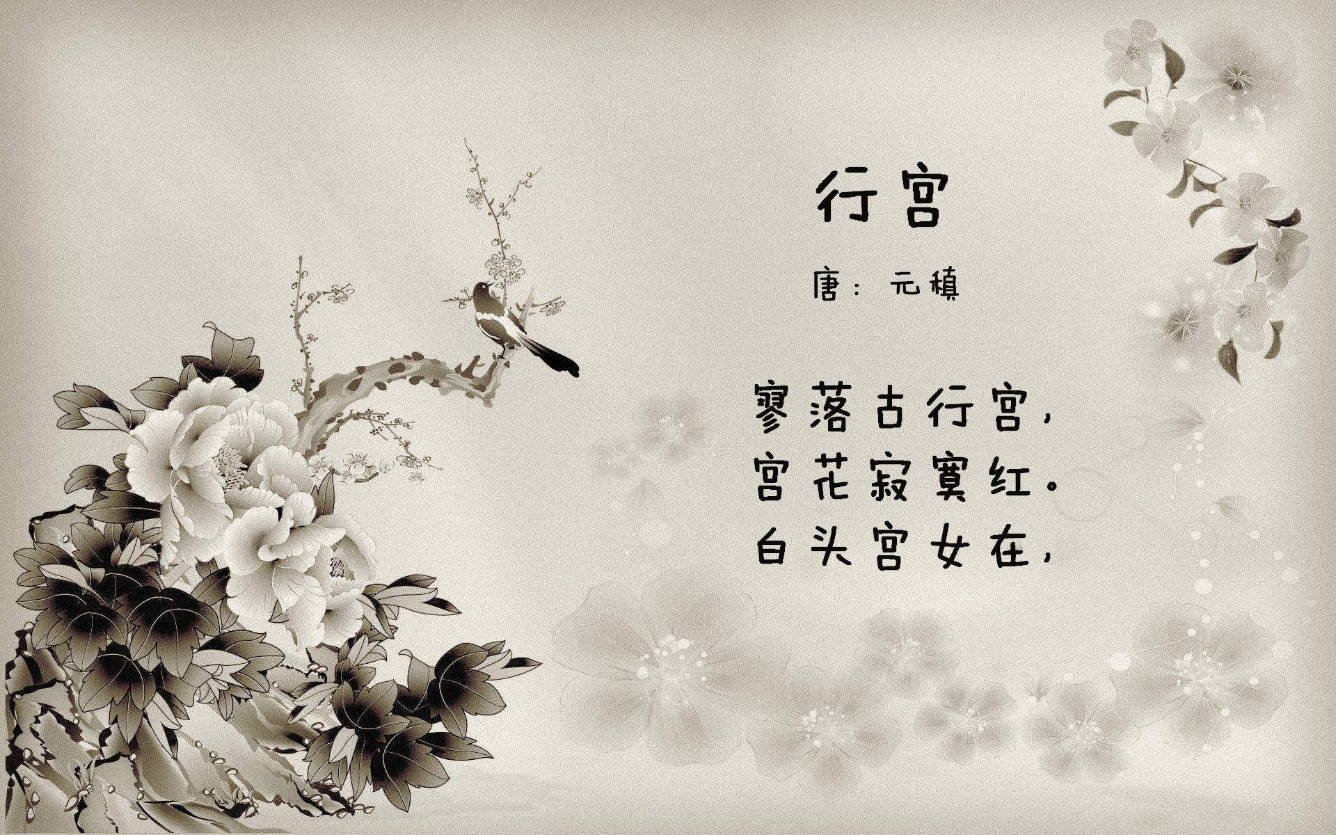 全国青少年篮球“冠军探索营”吸引数百青少年踊跃报名，2019全国青少年篮球特色学校