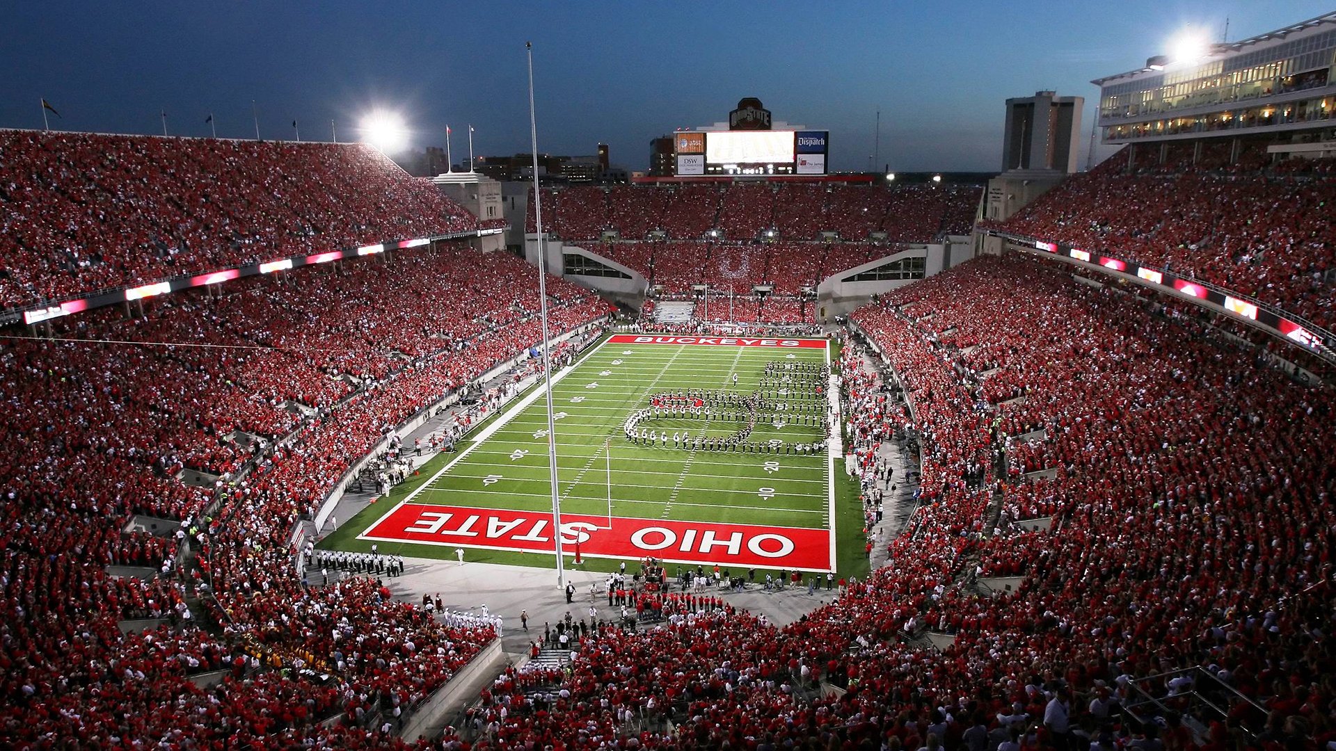 “美洲狮队奋勇拼搏，征战橄榄球冠军锦标赛”