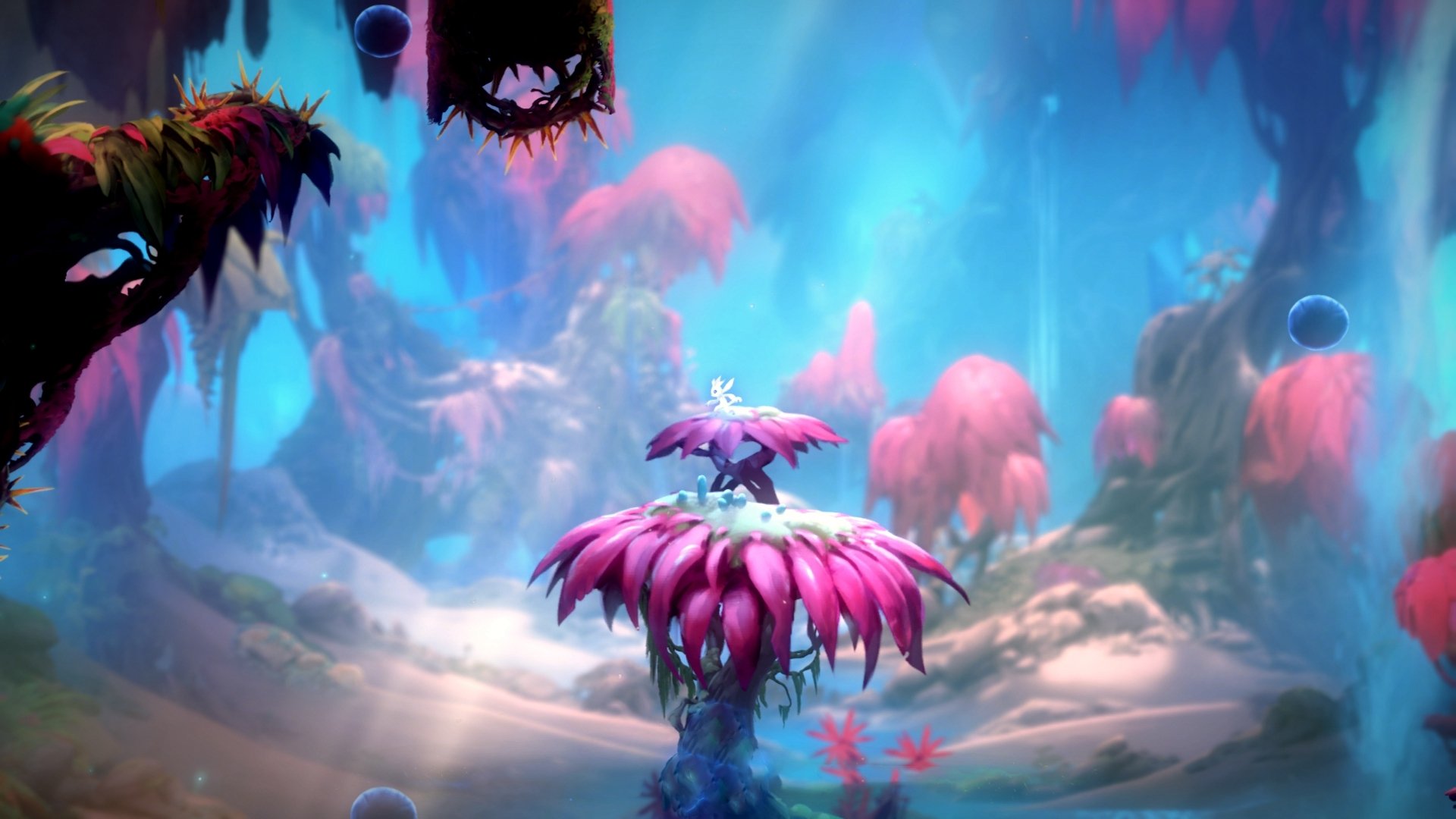 九游娱乐官网 (jiuyou)-_潮流运动新宠：水上漂流体验火热开启_，水上漂流怎么玩